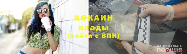 ГАЛЛЮЦИНОГЕННЫЕ ГРИБЫ Пересвет