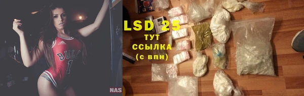 ГАЛЛЮЦИНОГЕННЫЕ ГРИБЫ Пересвет
