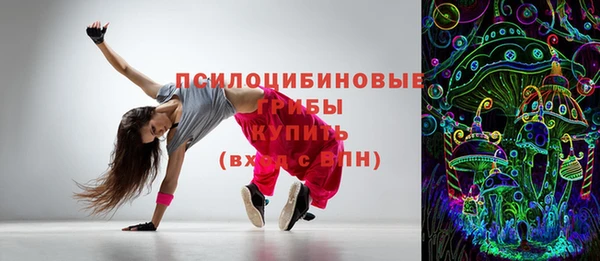 ГАЛЛЮЦИНОГЕННЫЕ ГРИБЫ Пересвет