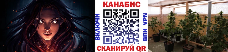 Купить  Клин  Марихуана план 